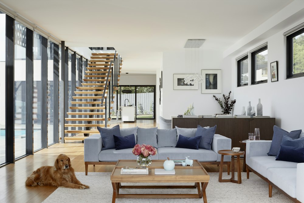 Warm open-plan home interior
